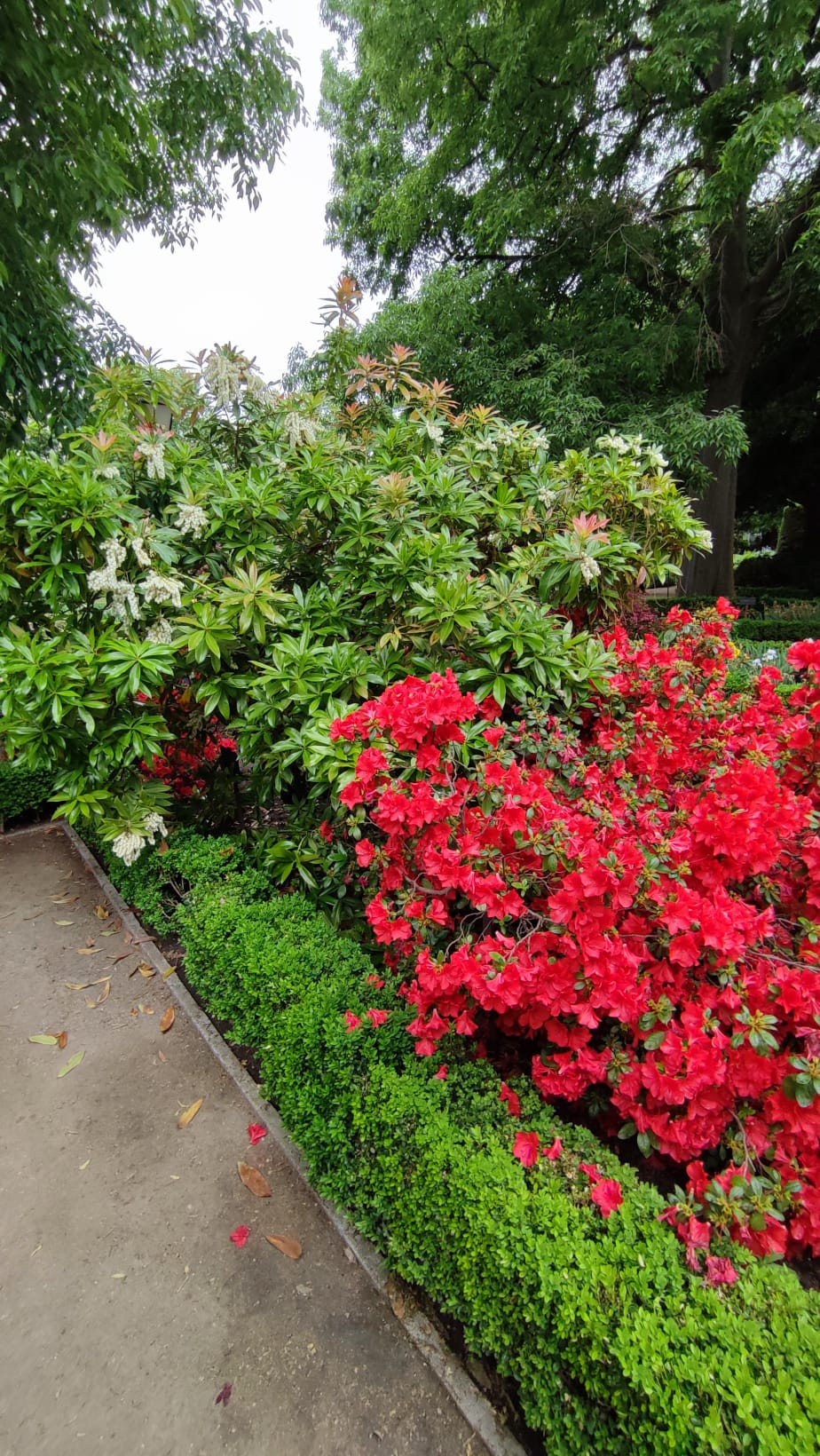 IMG-20230429-WA0098